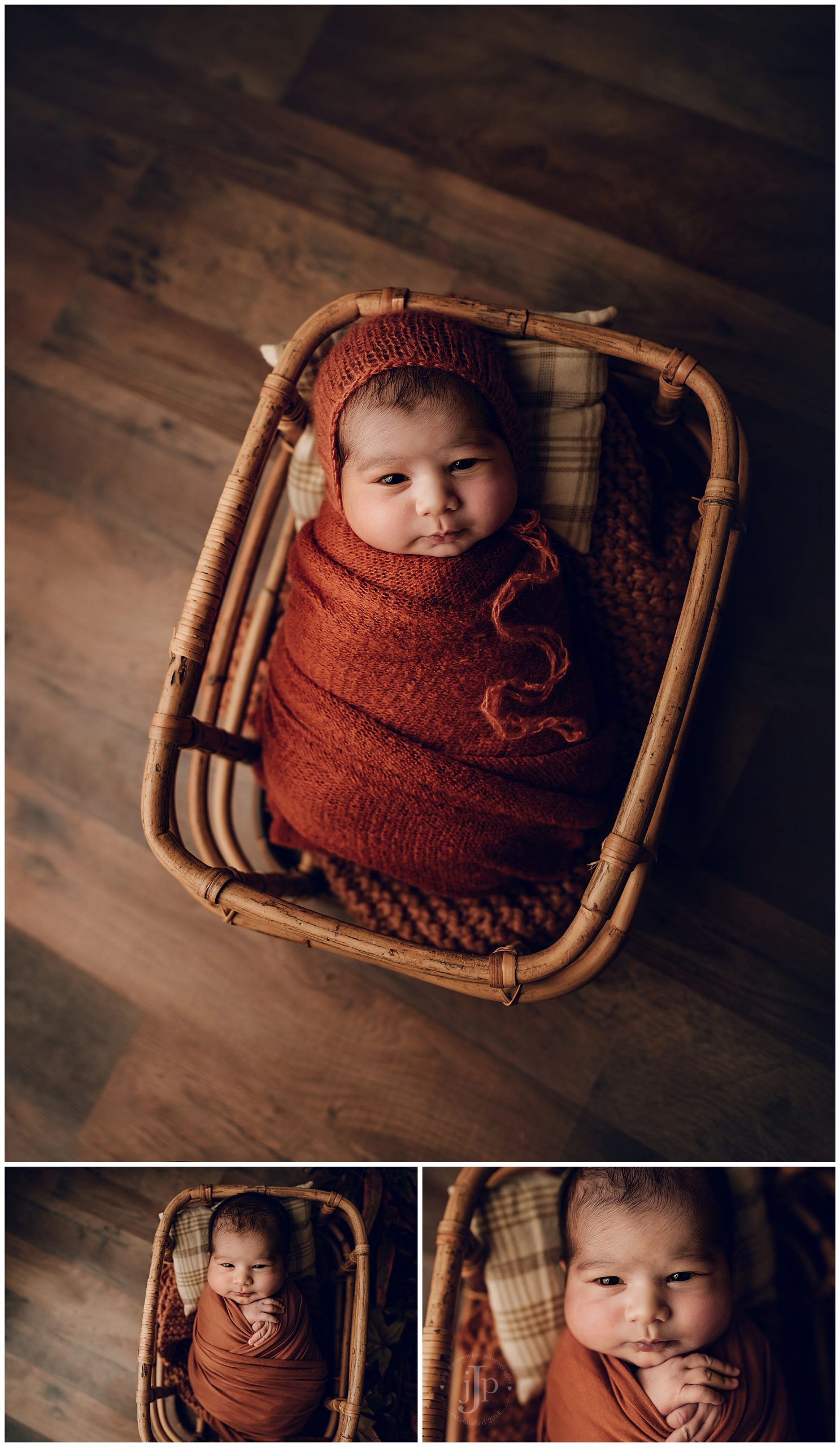 fall inspired newborn photography session