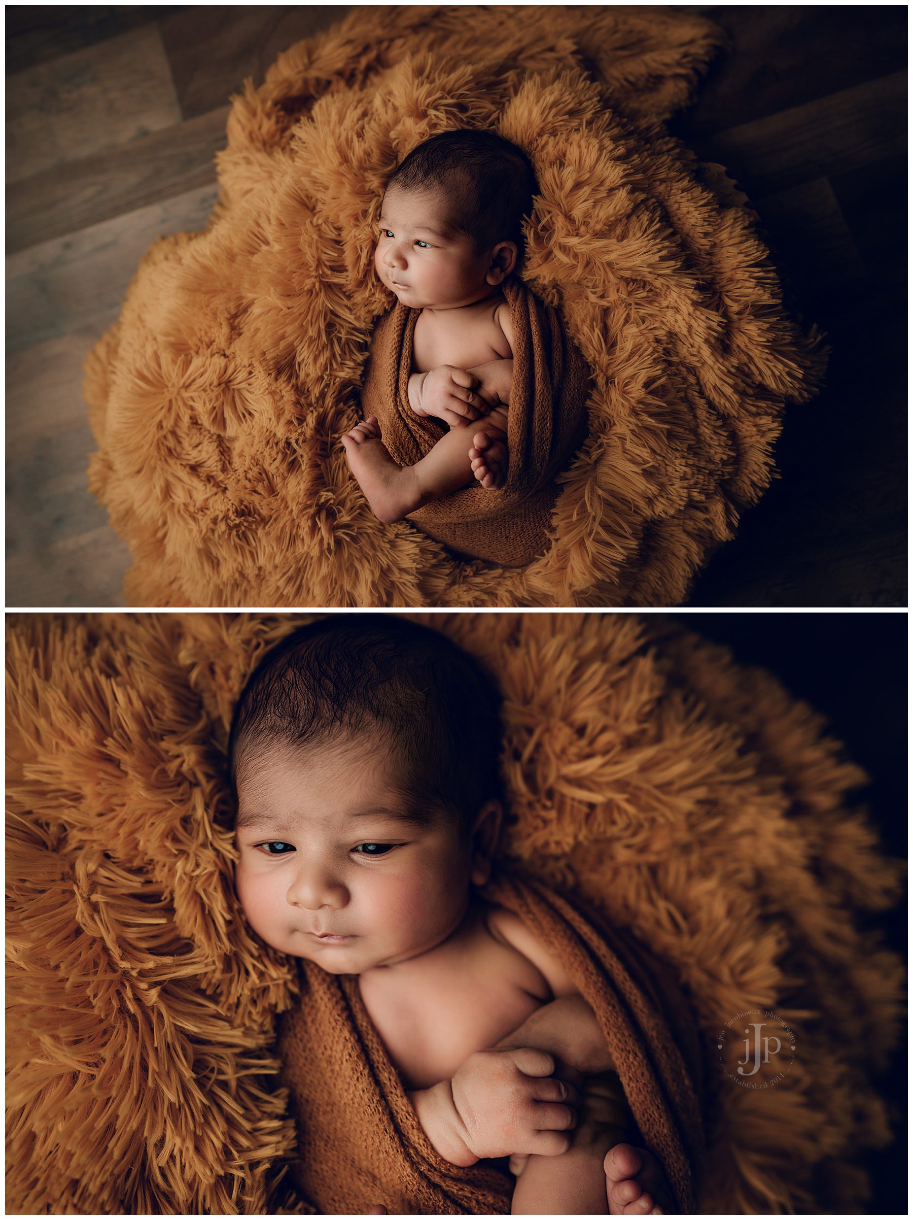 fall inspired newborn photography session